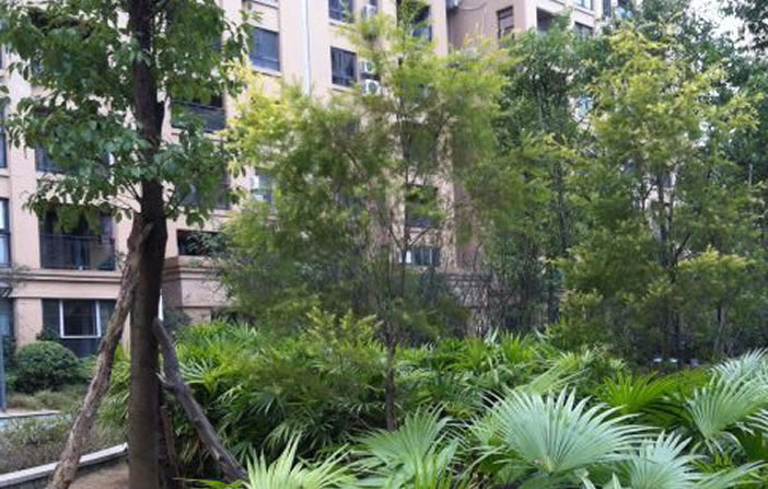 918������(�й���)�ٷ���վ